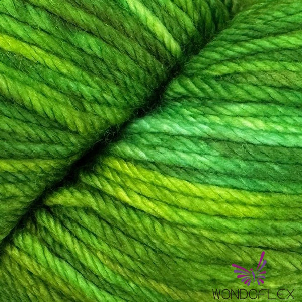 Fiori  DK IV - Parrakeet