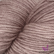 Fiori  DK IV - Abolone