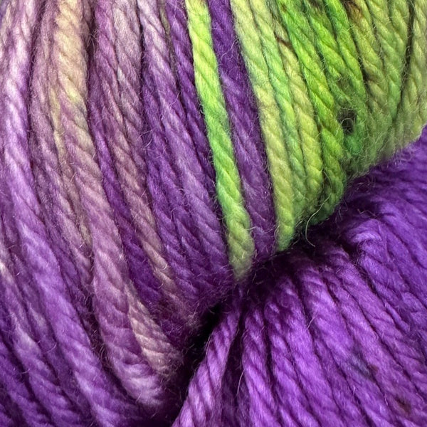 Fiori  DK IV
