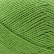 Magnum - Lime Sorbet