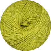 Indiecita Easy Wash 8ply - Pistachio