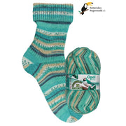 Rainforest 21 - Ahoy Sailor