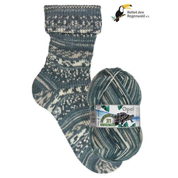 Rainforest 21 - Captain Tortoise