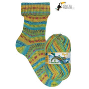 Rainforest 21 - Navigator