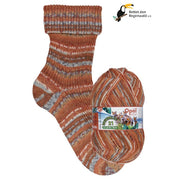 Rainforest 21 - Happy Passengers