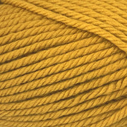 Peppin 14 - Mustard