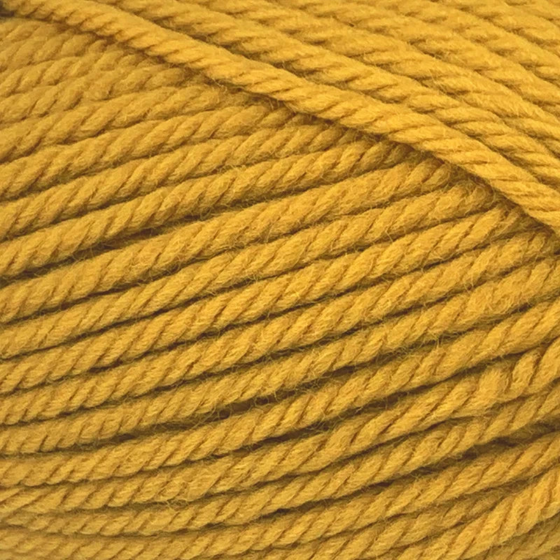 Peppin 14 - Mustard