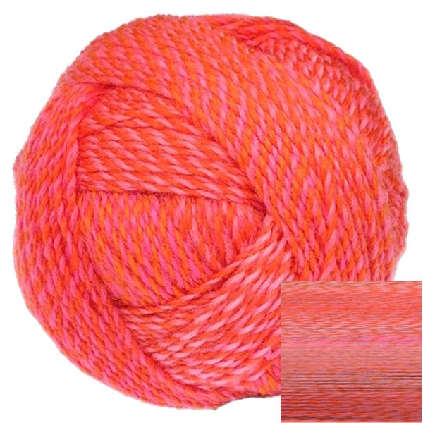 Crazy Boys - Gerhard