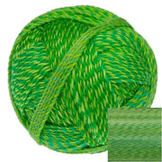 Crazy Boys - Frank Walter