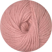 Alpaca Air - Blossom