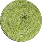 Sox Easy Wash - Olive