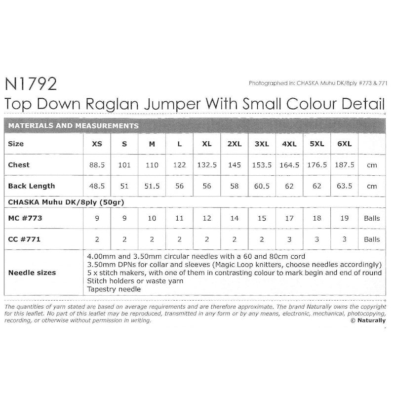 Top Down Raglan with Colour detail