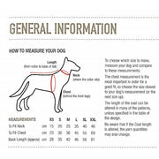 How To Measure Your Dog